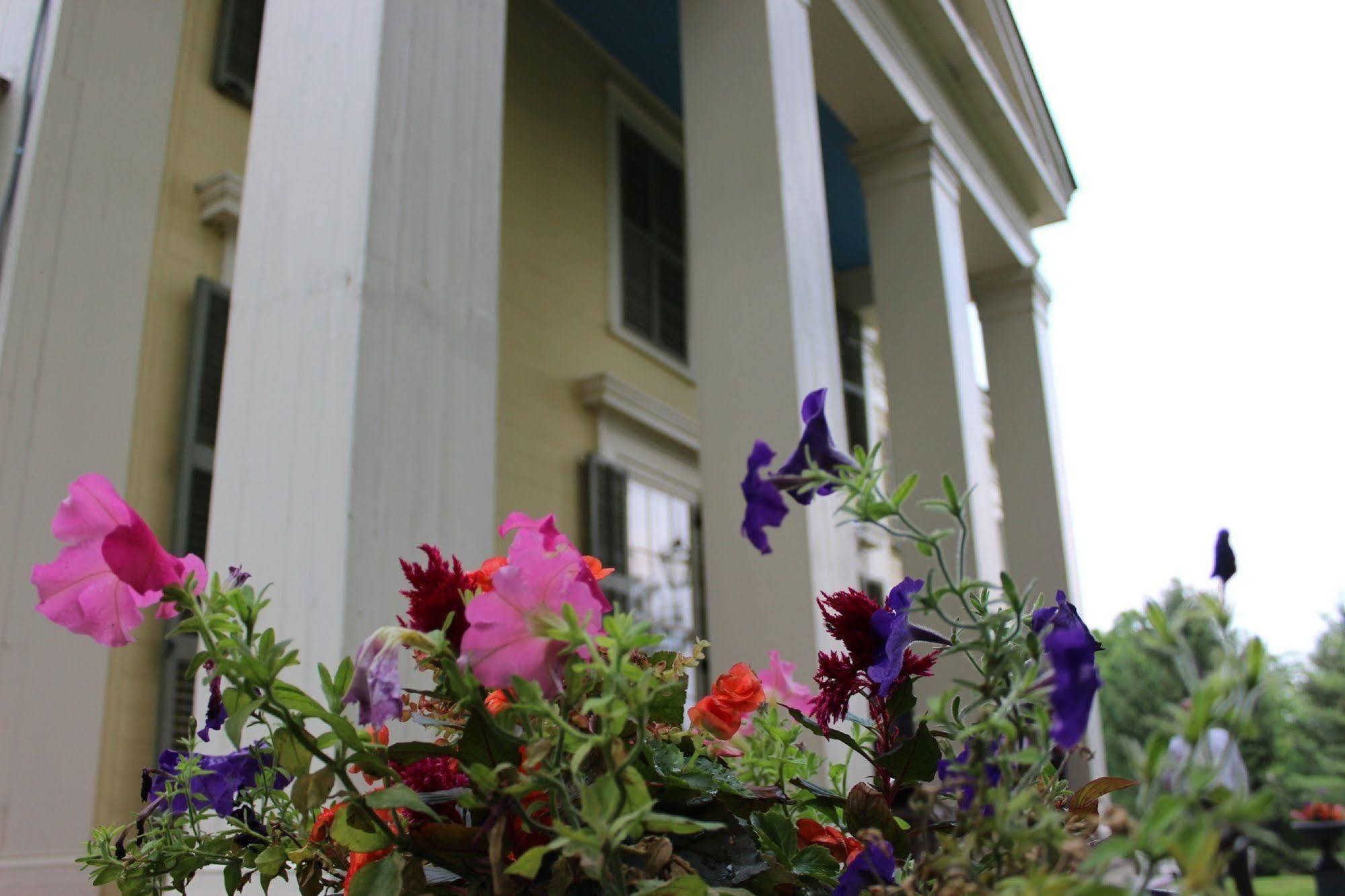 Oakcliff Bed And Breakfast Halfmoon Buitenkant foto